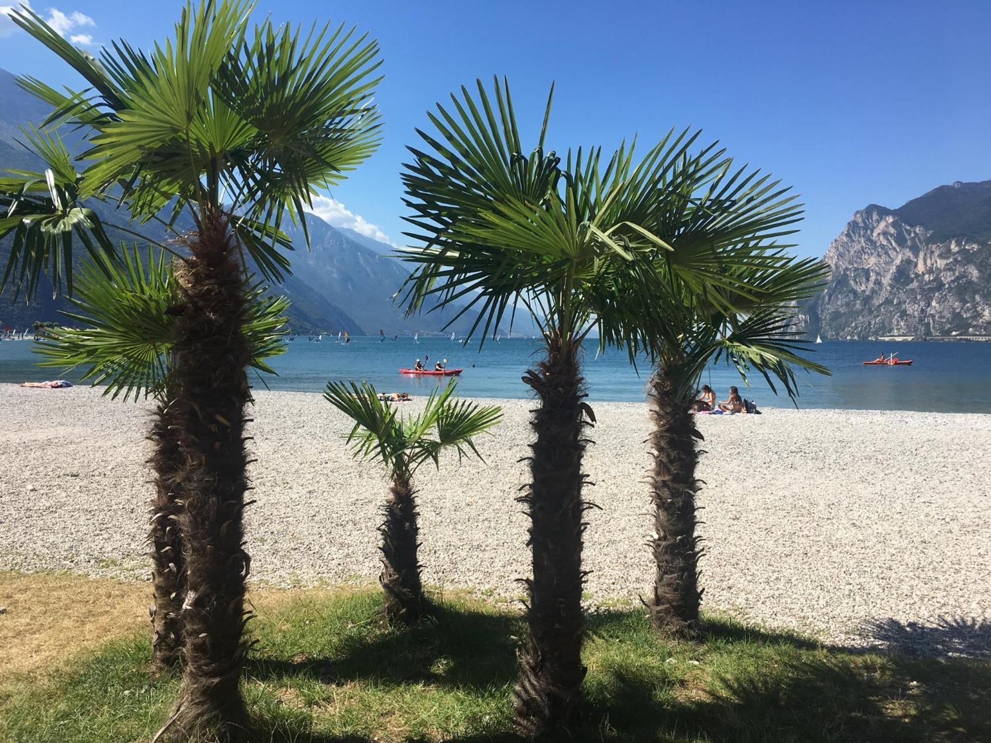 Outdooredo Garda Torbole Torbole Sul Garda Ngoại thất bức ảnh